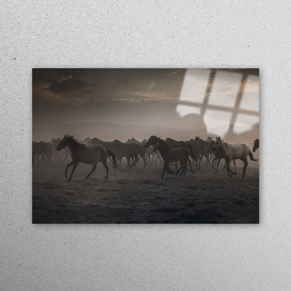 Wild Horses Acrylic Glass Print Tempered Glass Wall Art 100% Made in Australia Ready to Hang