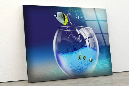 Fish on Tank Digital UV Direct Aluminum Print Australian Made Quality