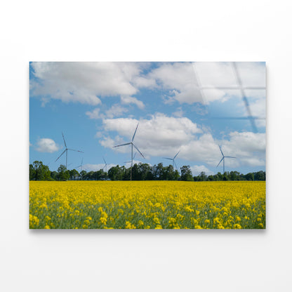 Rapeseed Plant and Wind Turbines Acrylic Glass Print Tempered Glass Wall Art 100% Made in Australia Ready to Hang - Bella Home Decor