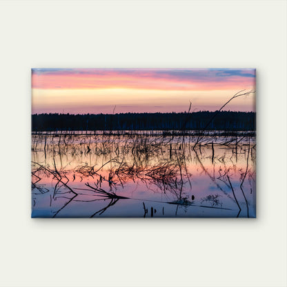 Sunset Swamp Lake Argyle Australia Wall Art Decor 100% Australian Made - Bella Home Decor