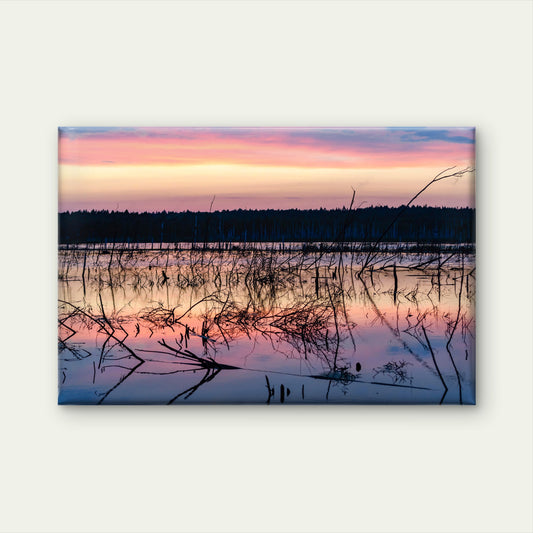 Sunset Swamp Lake Argyle Australia Wall Art Decor 100% Australian Made - Bella Home Decor