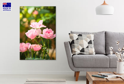 Shining Pink Floral Elegant Roses Wall Art Decor 100% Australian Made