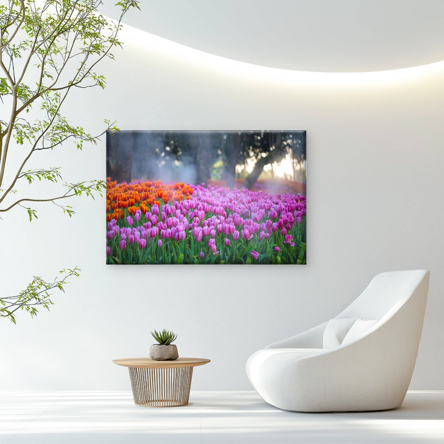 A Field Of Tulips in Full Bloom Wall Art Decor 100% Australian Made - Bella Home Decor