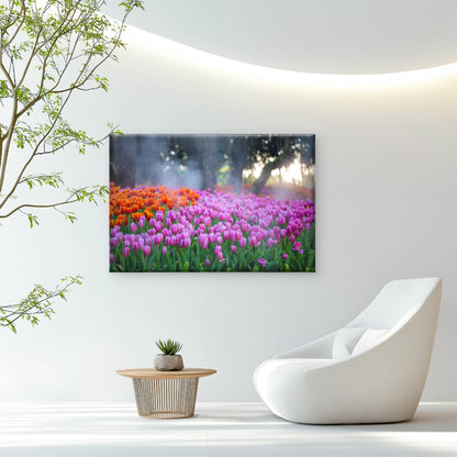 A Field Of Tulips in Full Bloom Wall Art Decor 100% Australian Made - Bella Home Decor