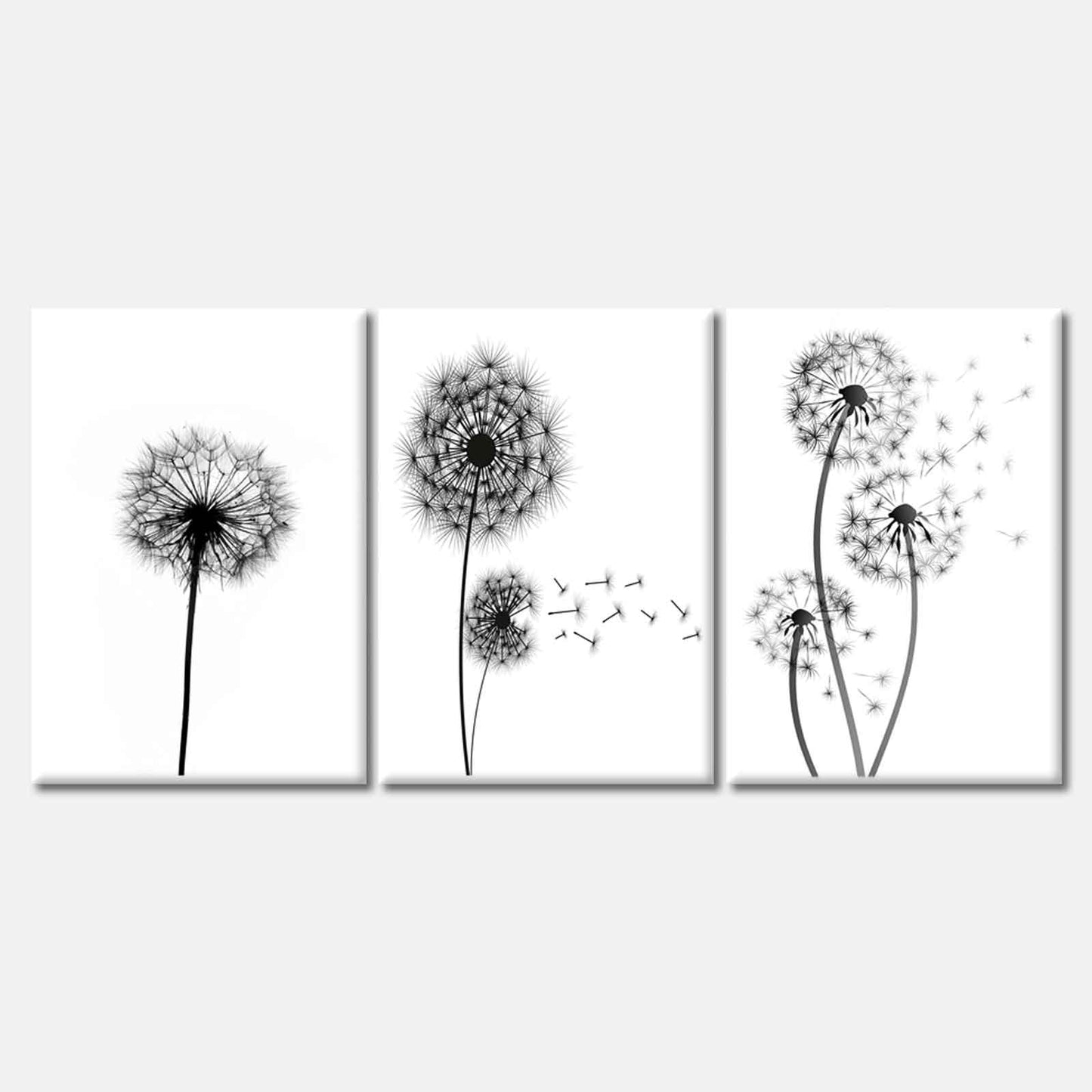 3 Set of Black Dandelion Flowers High Quality Print 100% Australian Made Wall Canvas Ready to Hang