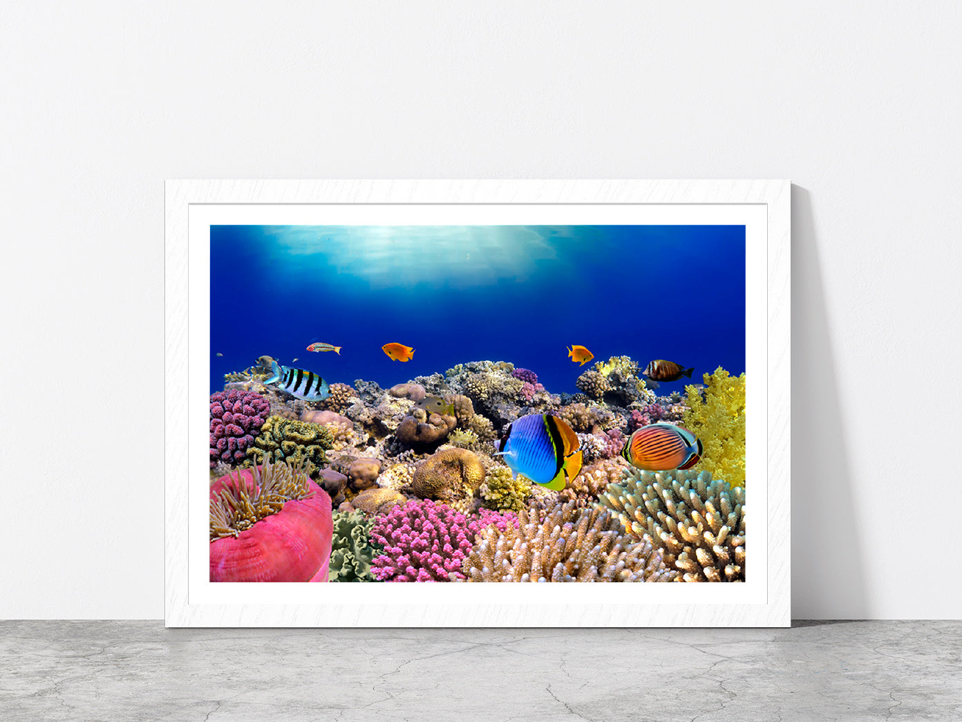 Underwater World & Coral Fishes Glass Framed Wall Art, Ready to Hang Quality Print With White Border White