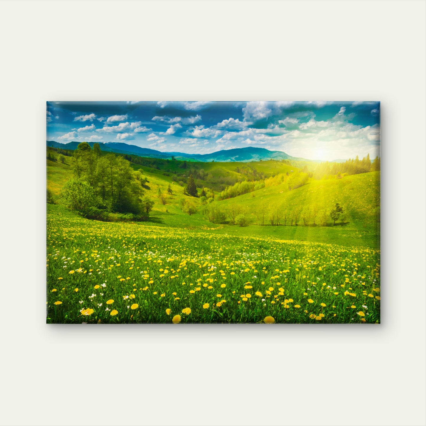 Sunny Dandelion Hillside Ukraine Wall Art Decor 100% Australian Made