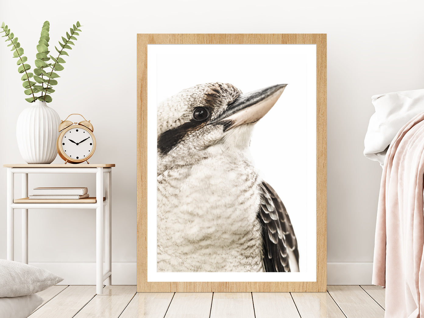 Kookaburra Bird Closeup Side View Photograph Glass Framed Wall Art, Ready to Hang Quality Print With White Border Oak