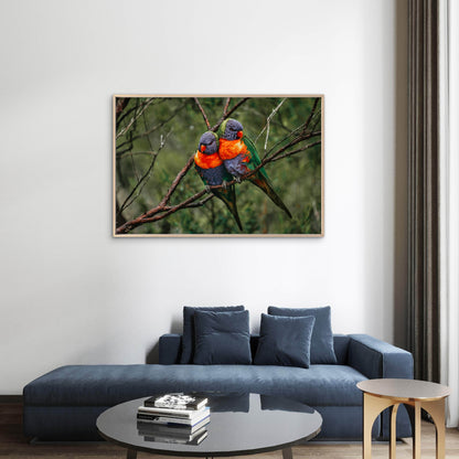 Rainbow Lorikeet Northern Queensland Wall Art Decor 100% Australian Made - Bella Home Decor