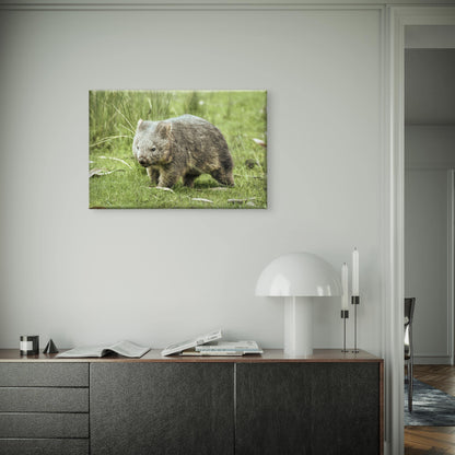 Wombat East Coast Tasmania Wall Art Decor 100% Australian Made