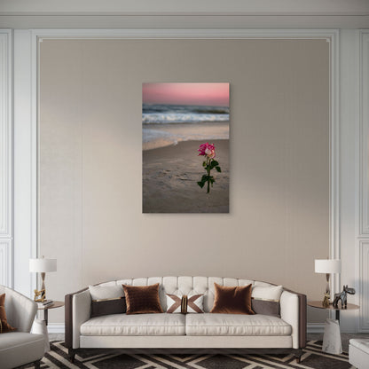 Pink And White Rose In The Sand At The Beach 60x90cm Metal Print Ready to Hang