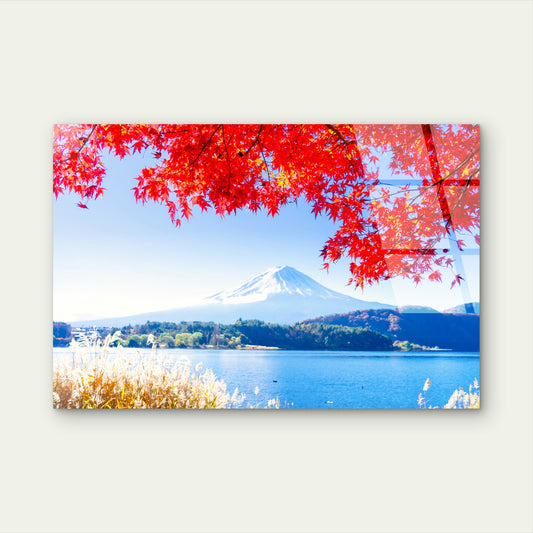Mount Fuji Japan Red Autumn Maple Leaves  Acrylic  Glass Printing Wall Art Australian Made Quality