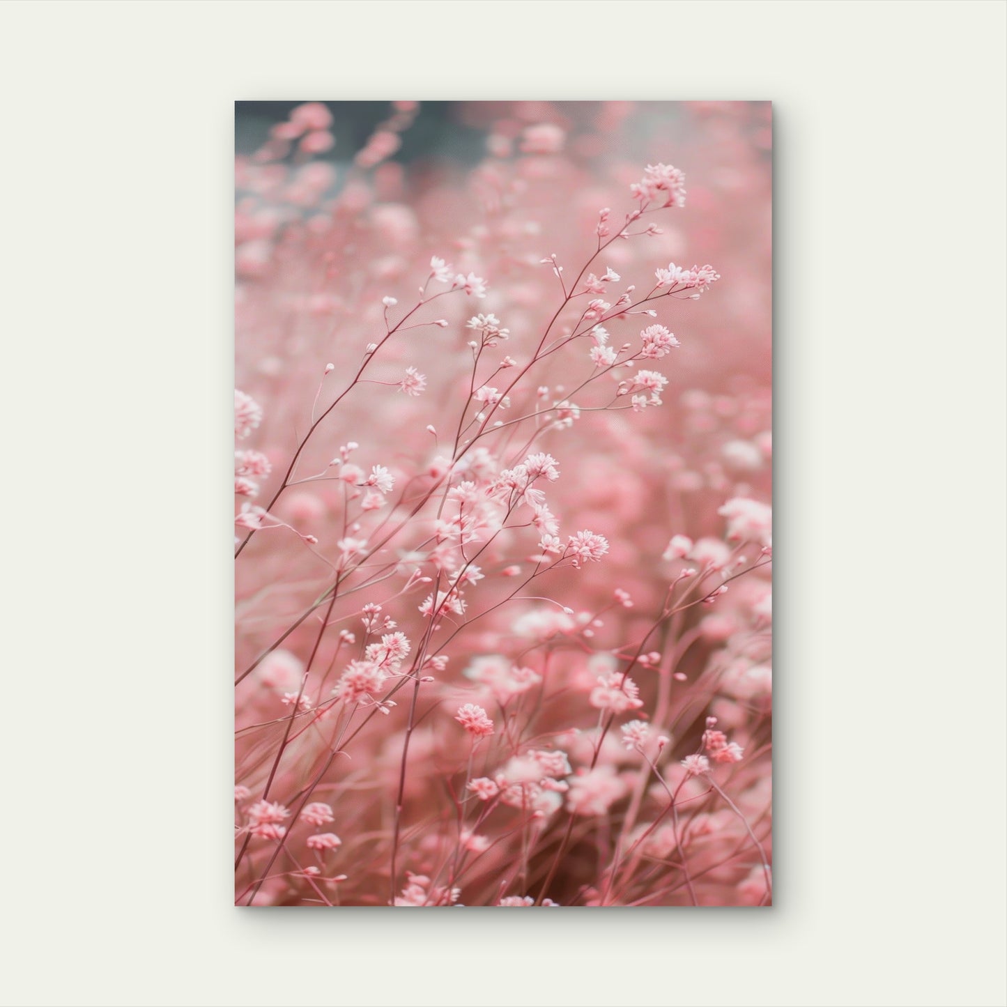 Small Pink Heuchera (Coral Bells) Flowers 40x60cm Metal Print Ready to Hang