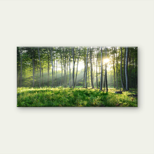 Sunbeams Pierce Forest Trees Wall Art Canvas Office Home Room Framed 120x60cm