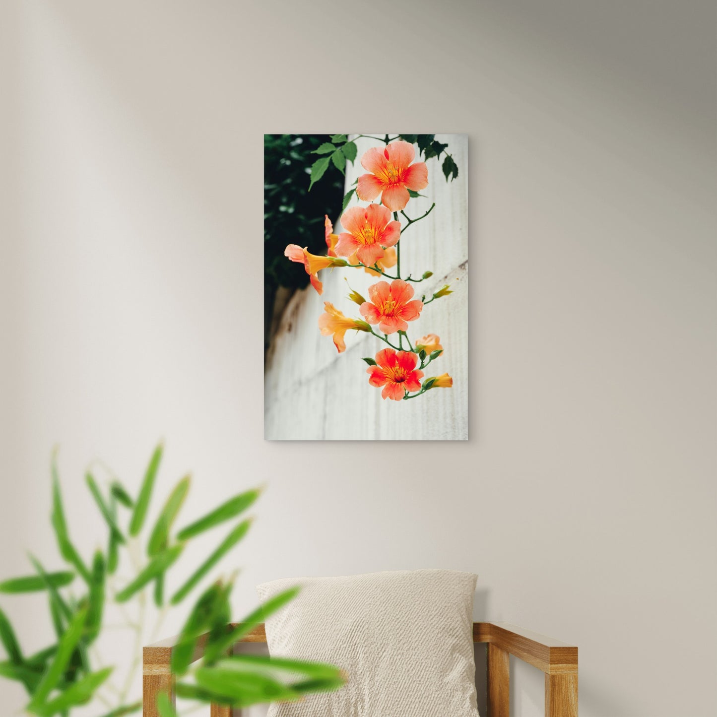 Chinese Trumpet Vine 40x60cm Metal Print Ready to Hang