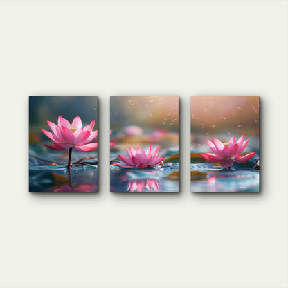 3pcs Pink Lotus Blossoms Floating On Water Wall Art Set Canvas Framed 40x60cm - High Quality Print 100% Australian Made Wall Canvas Ready to Hang - Bella Home Decor