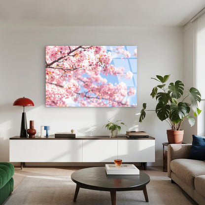 Pink Cherry Blossom Tree Sakura Bloom   Acrylic Glass Printing Wall Art Australian Made Quality
