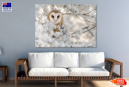 Barn Owl Wrapped by Flowers View Photograph 90x60cm Print 100% Australian Made