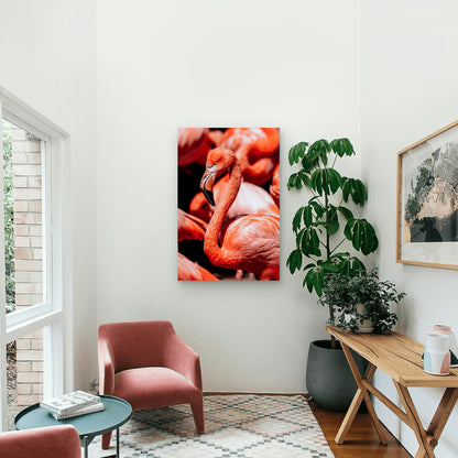 Group Of Flamingos Standing Next To Each Other 40x60cm Metal Print Ready to Hang