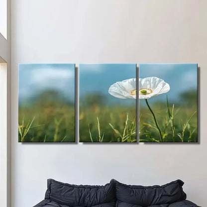 3pcs White Poppy Flower In Grass Field Metal Print Ready to Hang Art