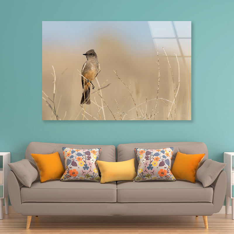 A Bird Perched On a Branch Close-up View Acrylic Glass Print Tempered Glass Wall Art 100% Made in Australia Ready to Hang