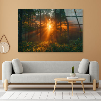 Sunlight Shining Through the Trees Acrylic Glass Print Tempered Glass Wall Art 100% Made in Australia Ready to Hang - Bella Home Decor