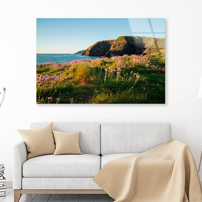 Pink Sea Thrift Acrylic Glass Print Tempered Glass Wall Art 100% Made in Australia Ready to Hang