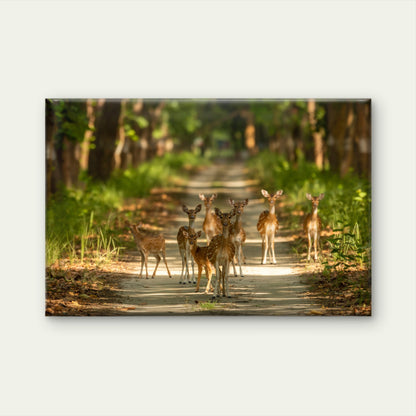 Spotted Deer Family Forest Wildlife Safari Wall Art Decor 100% Australian Made
