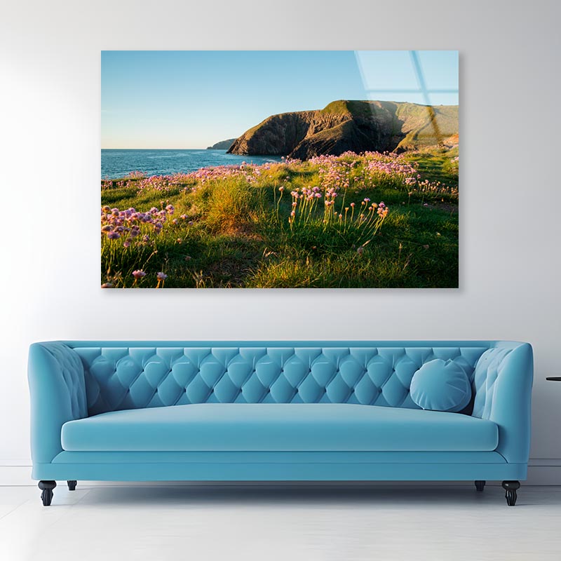 Pink Sea Thrift Acrylic Glass Print Tempered Glass Wall Art 100% Made in Australia Ready to Hang