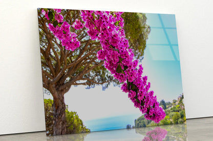 Branch Of Bougainvillea Flowers Acrylic Glass Print Tempered Glass Wall Art 100% Made in Australia Ready to Hang - Bella Home Decor