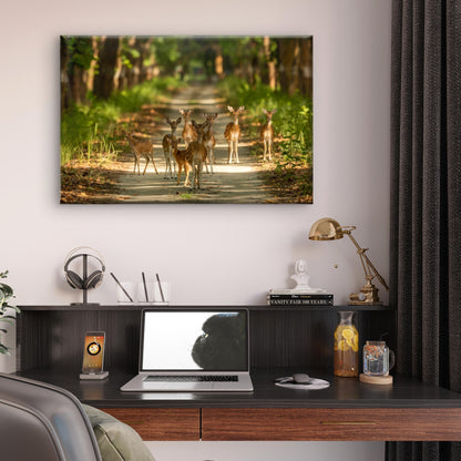 Spotted Deer Family Forest Wildlife Safari Wall Art Decor 100% Australian Made