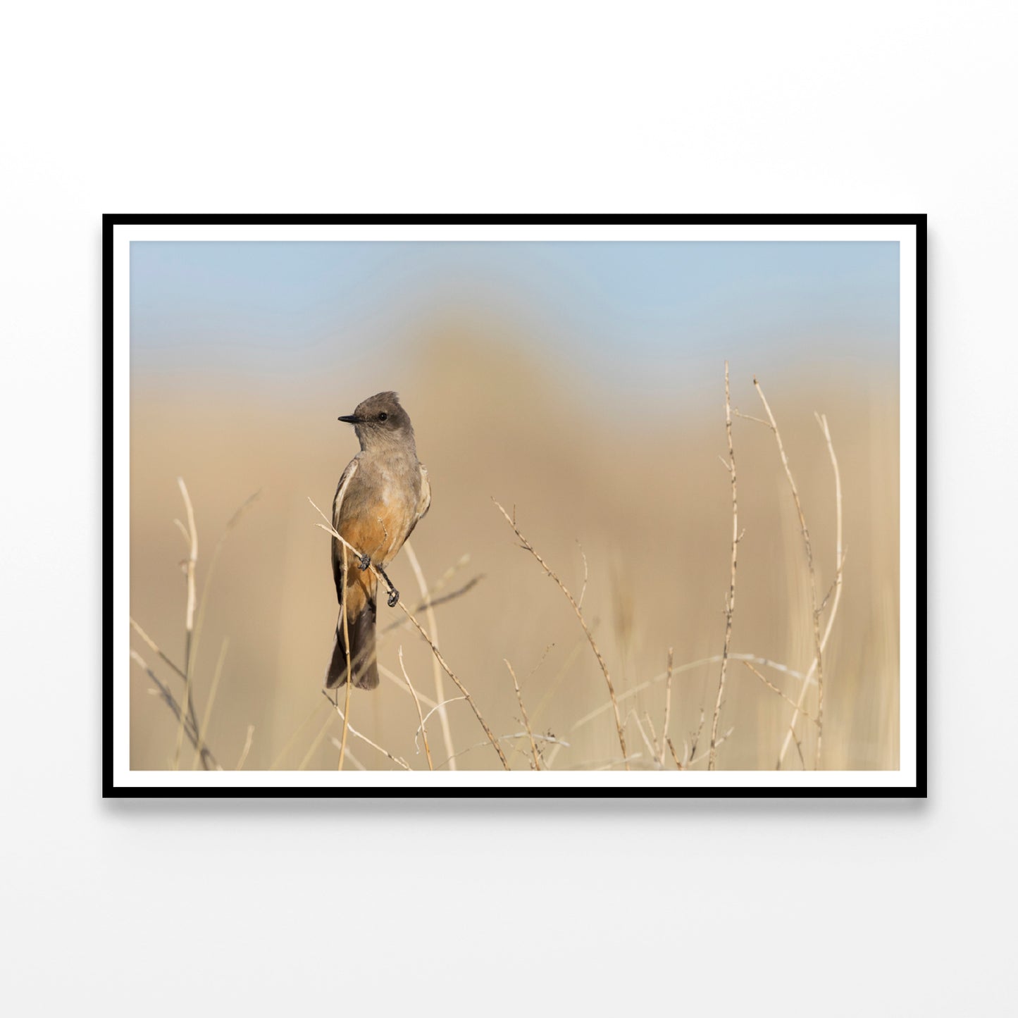 A Bird Perched On a Branch Close-up View Home Decor Premium Quality Poster Print Choose Your Sizes