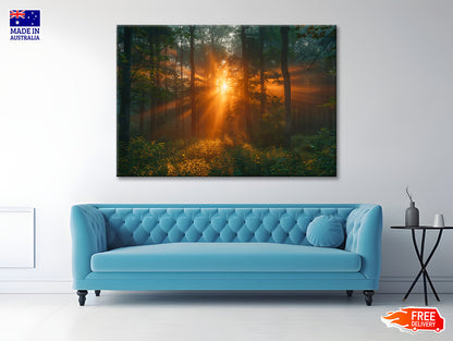 Sunlight Shining Through the Trees Print 100% Australian Made - Bella Home Decor