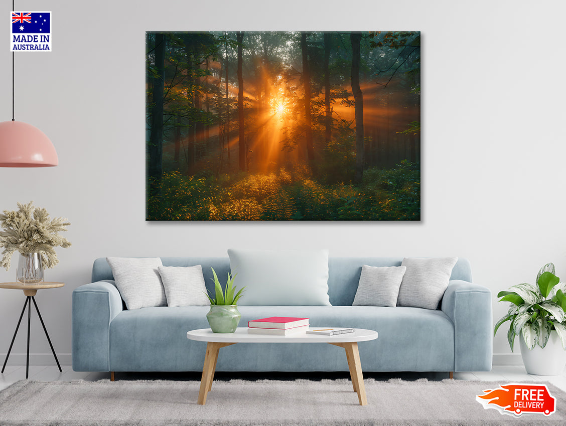 Sunlight Shining Through the Trees Print 100% Australian Made - Bella Home Decor