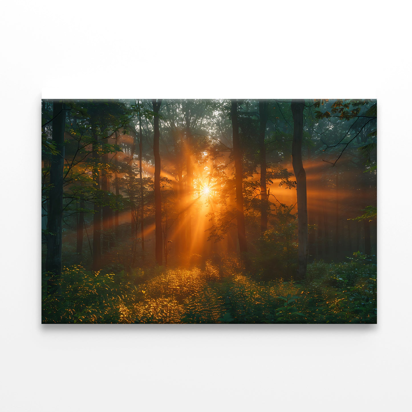 Sunlight Shining Through the Trees Print 100% Australian Made - Bella Home Decor