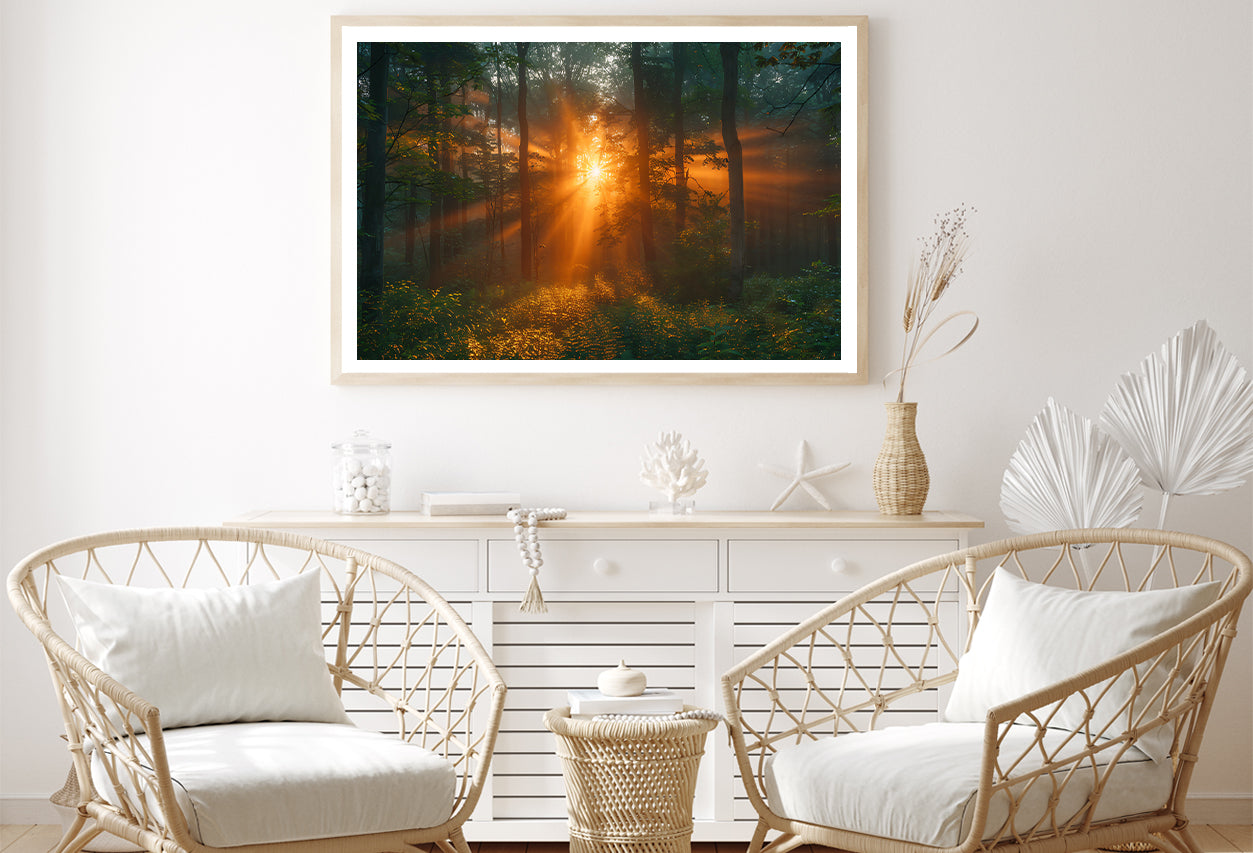 Sunlight Shining Through the Trees Home Decor Premium Quality Poster Print Choose Your Sizes - Bella Home Decor