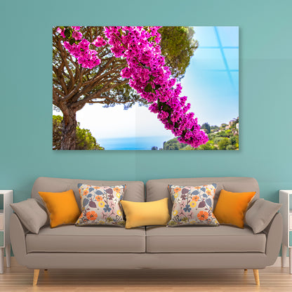 Branch Of Bougainvillea Flowers Acrylic Glass Print Tempered Glass Wall Art 100% Made in Australia Ready to Hang - Bella Home Decor