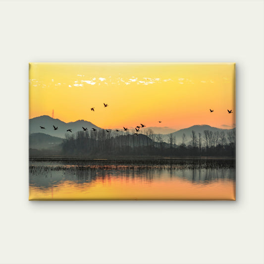 Birds Flying Sunset River Wall Art Decor 100% Australian Made