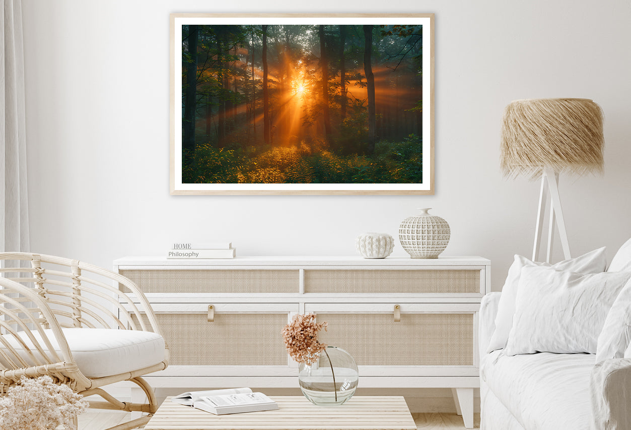 Sunlight Shining Through the Trees Home Decor Premium Quality Poster Print Choose Your Sizes - Bella Home Decor