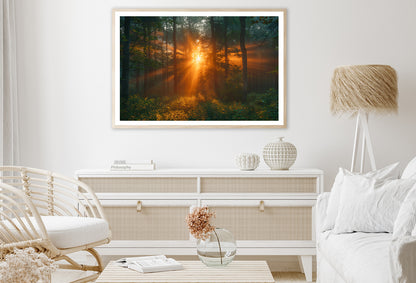 Sunlight Shining Through the Trees Home Decor Premium Quality Poster Print Choose Your Sizes - Bella Home Decor
