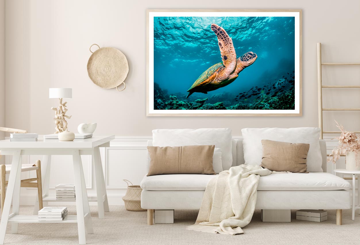 Graceful Swimming Sea Turtle Home Decor Premium Quality Poster Print Choose Your Sizes