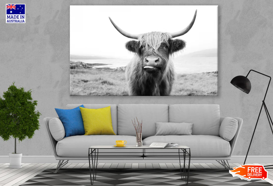 Highland Cow Black & White Landscape 90x60cm Print 100% Australian Made