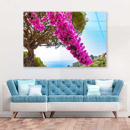 Branch Of Bougainvillea Flowers Acrylic Glass Print Tempered Glass Wall Art 100% Made in Australia Ready to Hang - Bella Home Decor