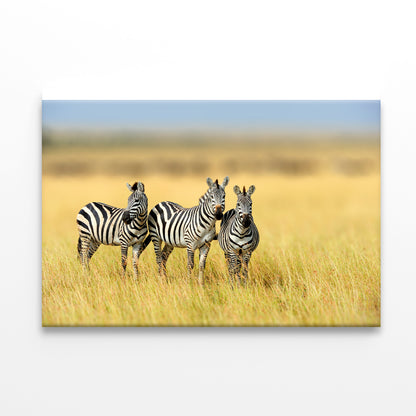 Herd of Zebras on Long Grass Land Print 100% Australian Made