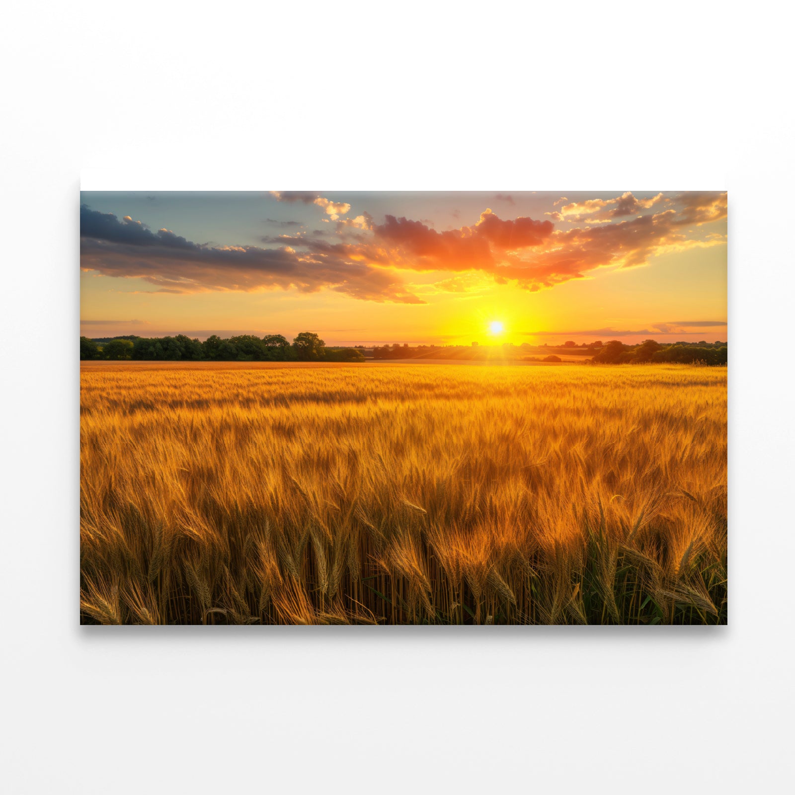 Rainbow Rural Landscape with Wheat Fields At Sunset Print 100% Australian Made - Bella Home Decor