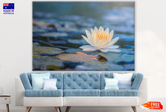 Lotus Flower on Water Photograph 90x60cm Print 100% Australian Made