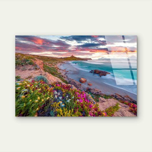 Sardinia Italy Beach Wildflowers Sunset Acrylic Glass Printing Wall Art Made Quality