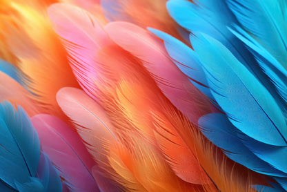 Feathers of a Bird Print 100% Australian Made - Bella Home Decor