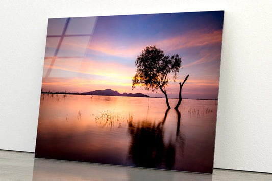 Tree and Lake in the Morning Acrylic Glass Print Tempered Glass Wall Art 100% Made in Australia Ready to Hang