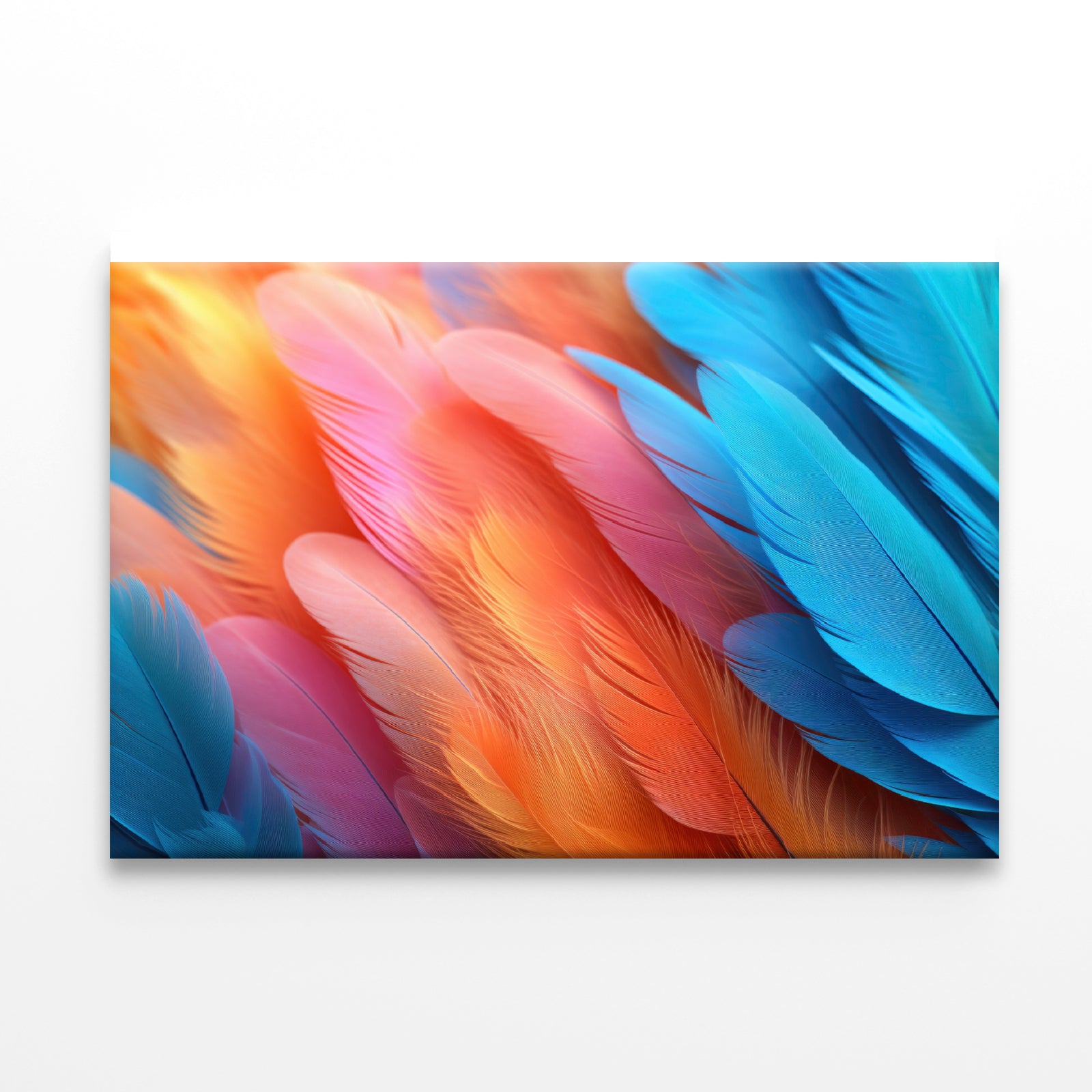 Feathers of a Bird Print 100% Australian Made - Bella Home Decor